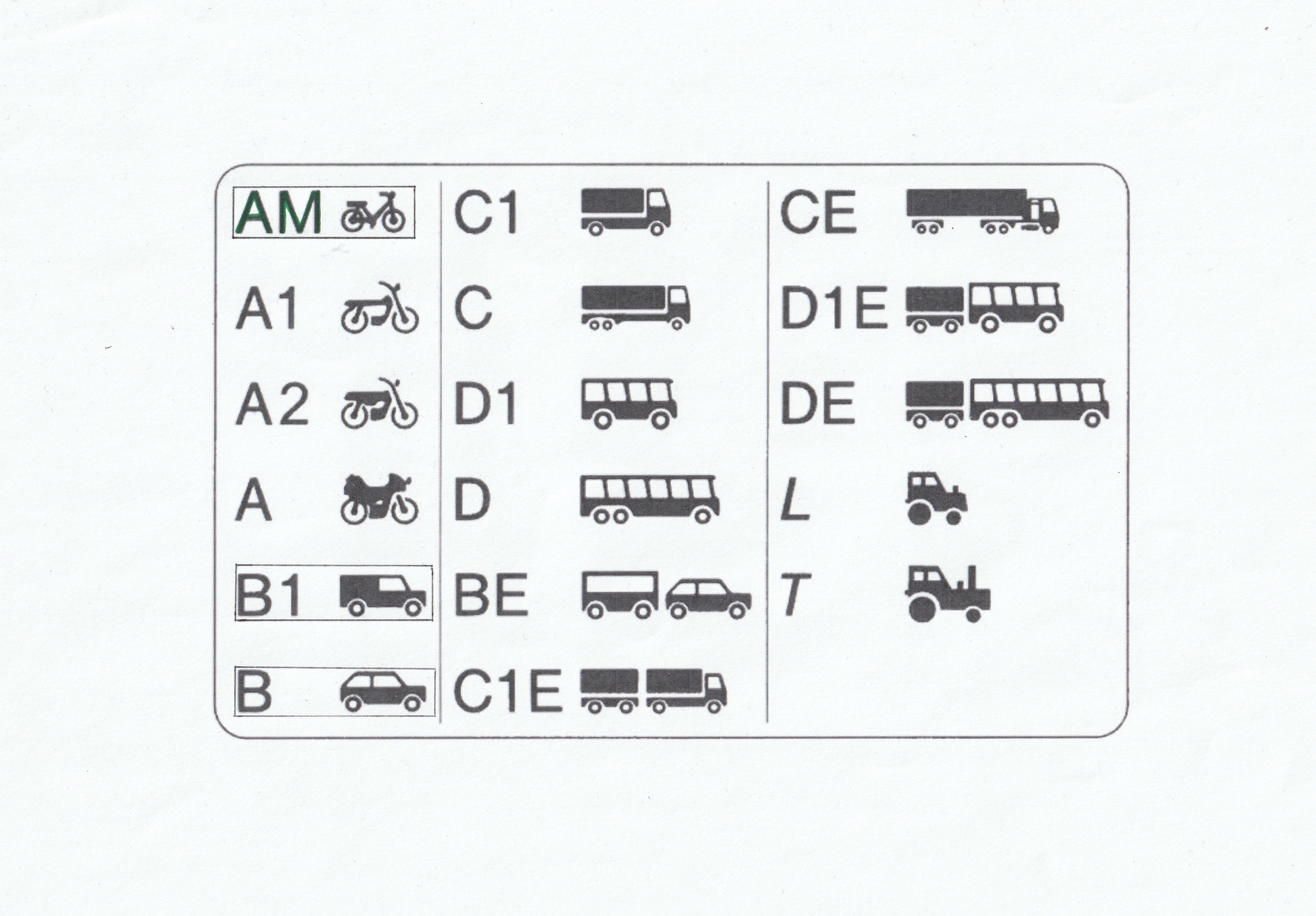 Driver's licence